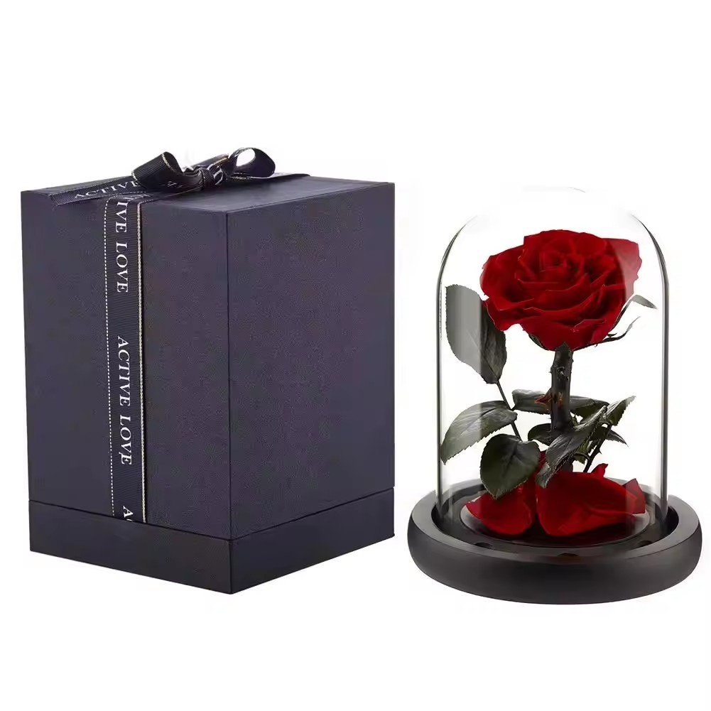 Beauty Beast Enchanted Bella Rose Preserved Flower in Glass Dome