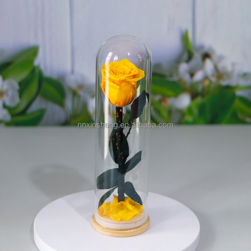 Preserved flower rose glass dome single real rose in glass new design hot selling for gifts 2024