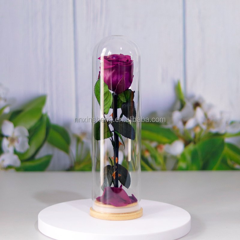 Preserved flower rose glass dome single real rose in glass new design hot selling for gifts 2024