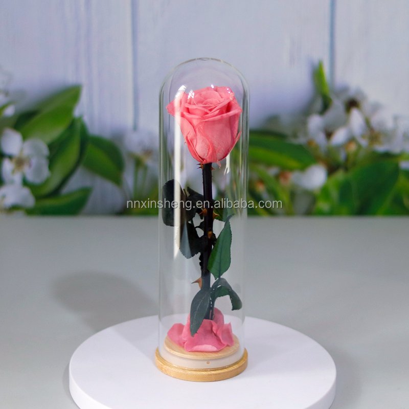 Preserved flower rose glass dome single real rose in glass new design hot selling for gifts 2024
