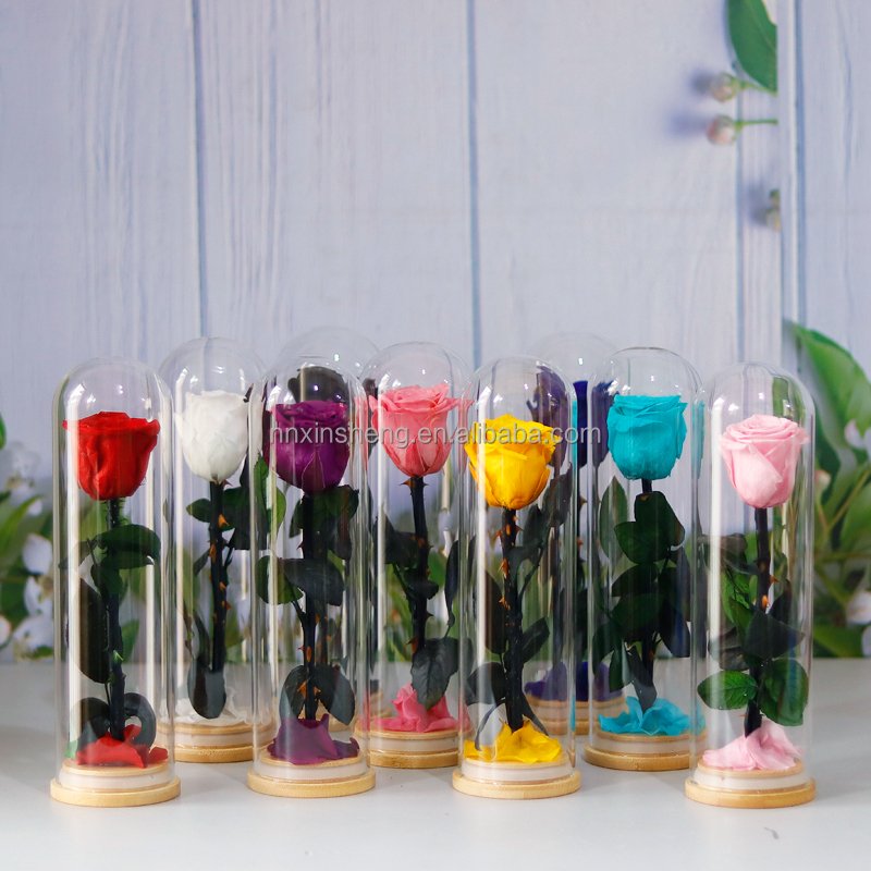 Preserved flower rose glass dome single real rose in glass new design hot selling for gifts 2024