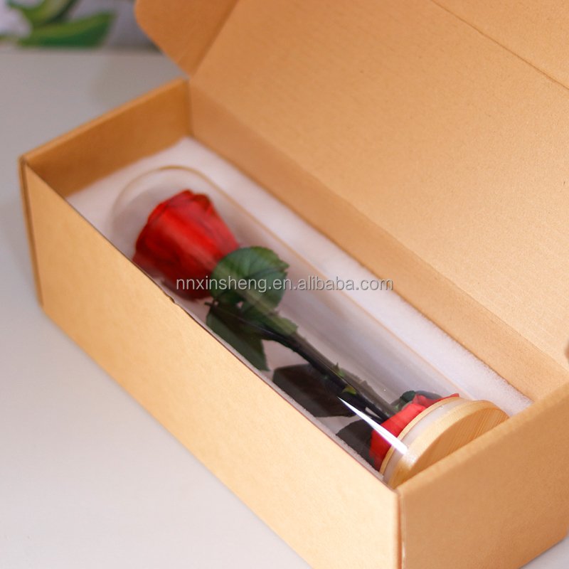 Preserved flower rose glass dome single real rose in glass new design hot selling for gifts 2024
