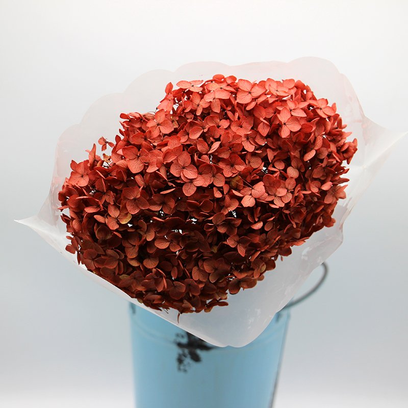 long stem dried natural preserved hydrangea flower with different colour for flower bouquet in vase