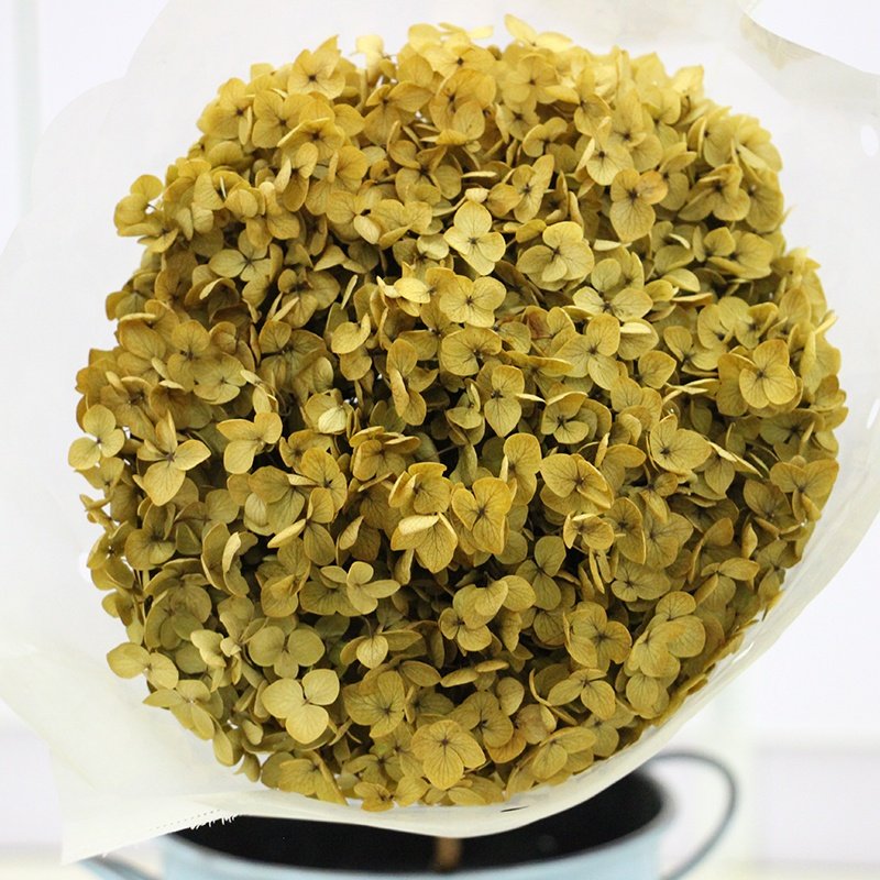 long stem dried natural preserved hydrangea flower with different colour for flower bouquet in vase