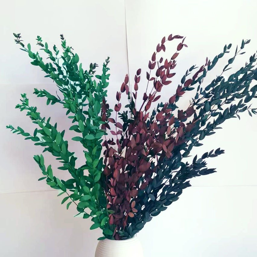 100g Natural Everlasting Dried Eucalyptus Thin Leaves Bunch Real Green Eucalyptus Fine Leaf Floraist Bouquet Shower