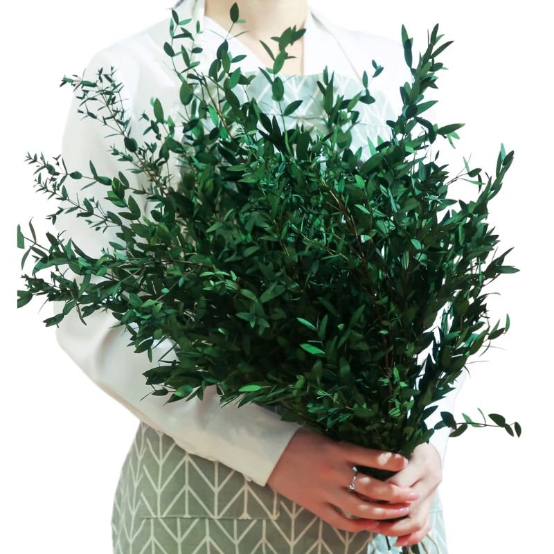 100g Natural Everlasting Dried Eucalyptus Thin Leaves Bunch Real Green Eucalyptus Fine Leaf Floraist Bouquet Shower