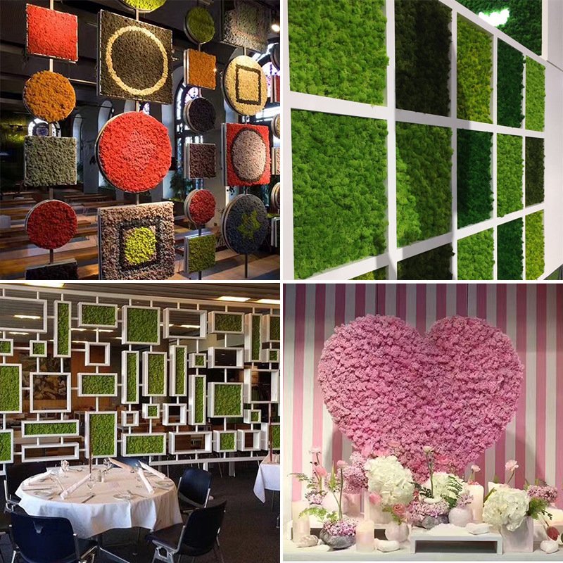 Natural Eco-friendly Eternal Panel Preserved Lichen Green Decor Moss Wall Sheet Reindeer Dried Preserved Moss Stabilized