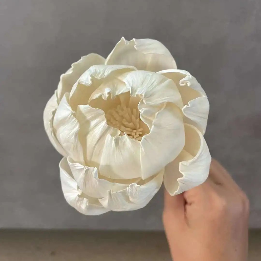 8cm Sola Wood Flower Peony Head Air Freshener Reed Fiffuser Home Flower Arrangement Desktop Decoration Diffuser