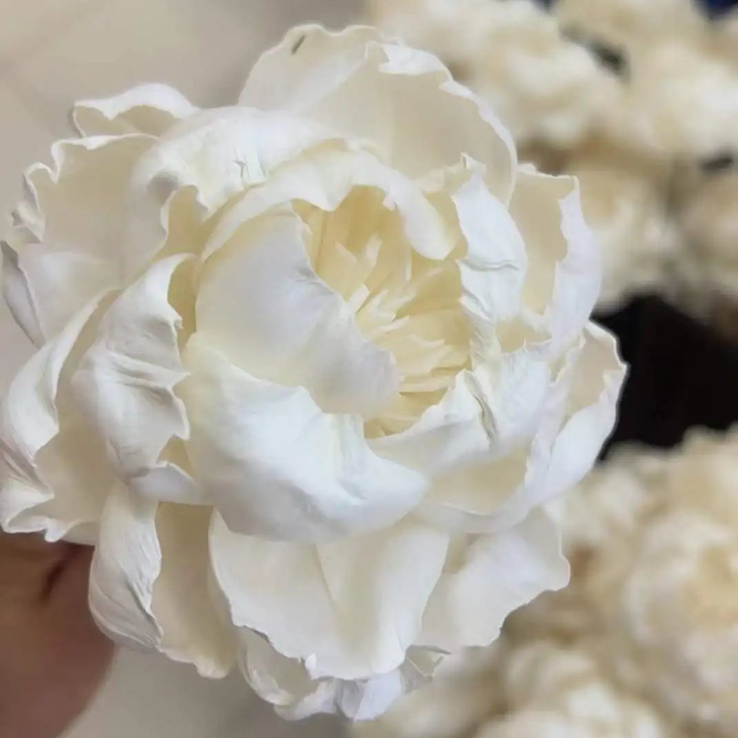8cm Sola Wood Flower Peony Head Air Freshener Reed Fiffuser Home Flower Arrangement Desktop Decoration Diffuser