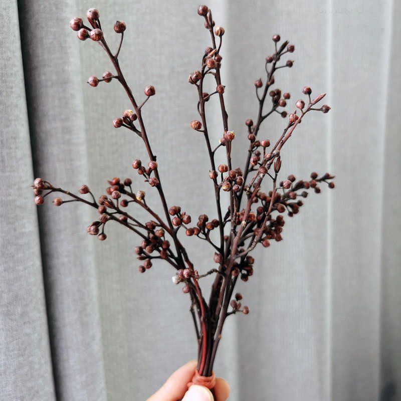 Dried fruit branches Natural Real Dried Flowers Plants Bouquet Holiday Gifts Decorative Flowers Wall Home Wedding Decoration