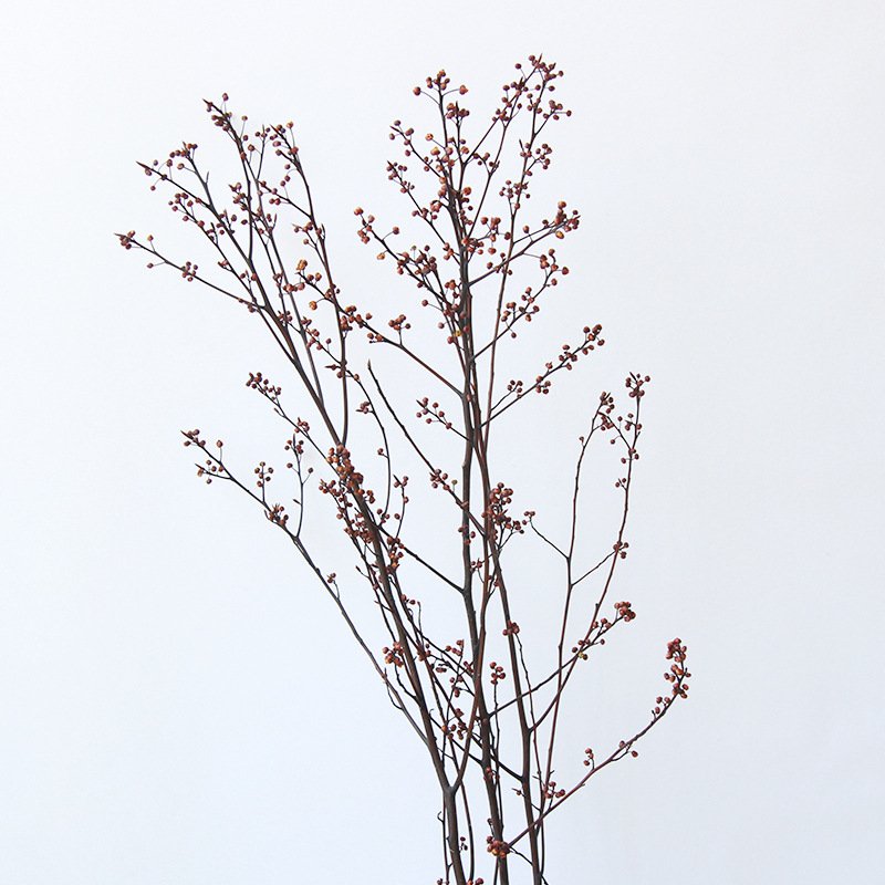 Dried fruit branches Natural Real Dried Flowers Plants Bouquet Holiday Gifts Decorative Flowers Wall Home Wedding Decoration
