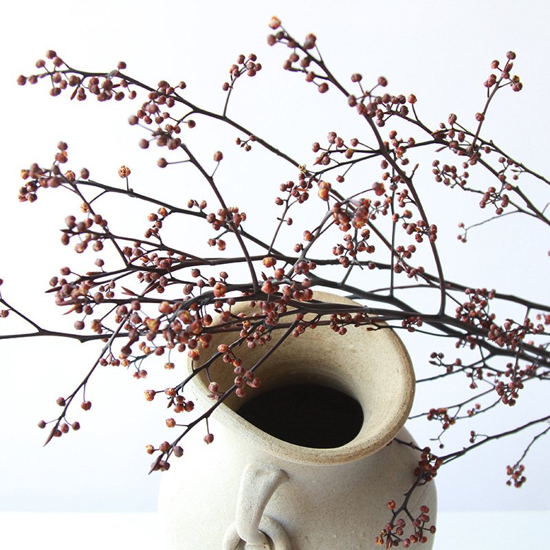 Dried fruit branches Natural Real Dried Flowers Plants Bouquet Holiday Gifts Decorative Flowers Wall Home Wedding Decoration