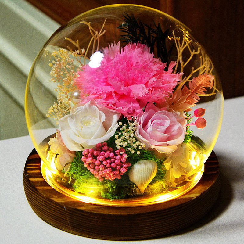 2024 Mother's Day Gift Real Preserved Flower Eternal Carnation Flower in Glass Dome Gifts for Mom Women