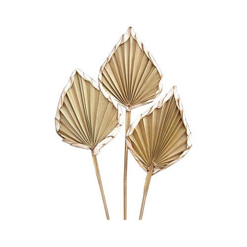 Handmade Palm Spear Wedding Decor Leaves for Home Decoration Dry Natural Decorative Flowers & Wreaths, preserve Flowers & Plants