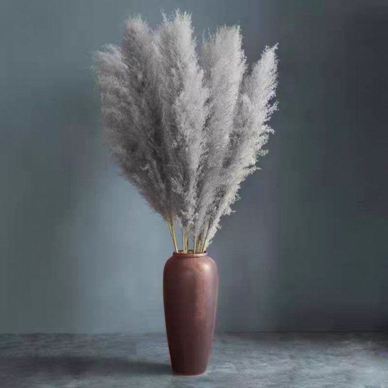 2023 new arrivals decorative flowers natural dried flowers Tall Pampas Grass