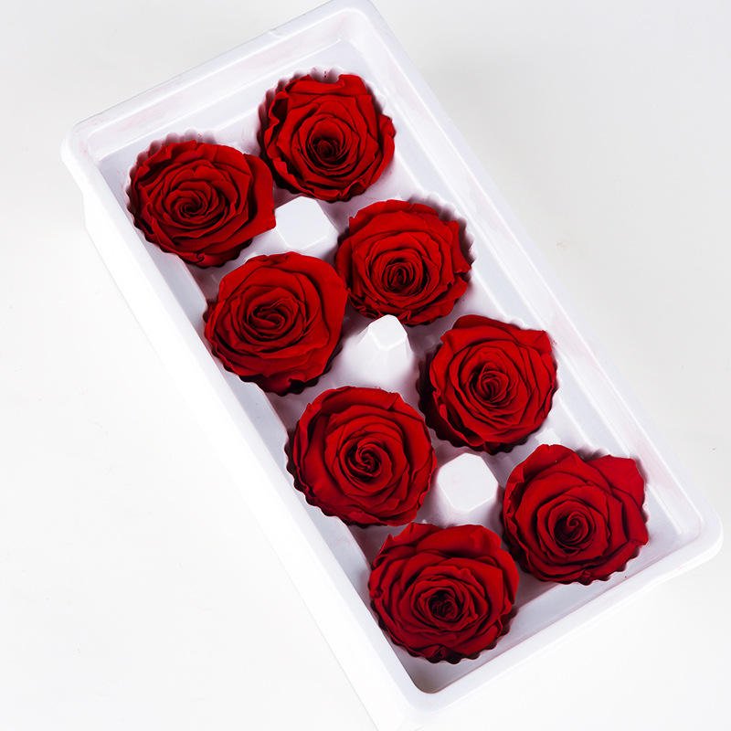 wholesale high quality Beautiful Rose Heads preserve big roses Preserved Flowers
