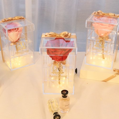 Annie Zhang preserved flowers preserved rose long life rose