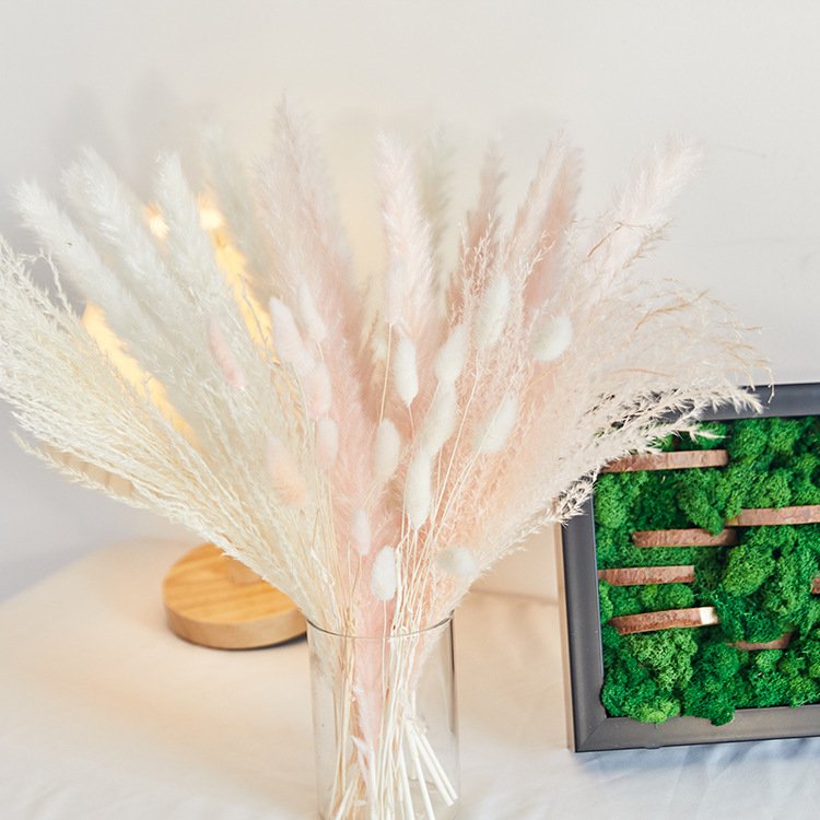 Best quality flower preservation preserved flowers bouquet natural preserved flowers and plants