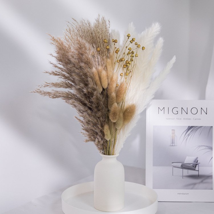 Best quality flower preservation preserved flowers bouquet natural preserved flowers and plants