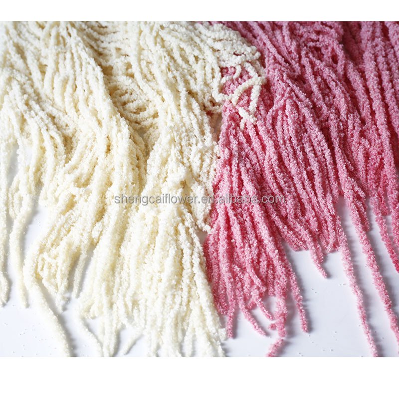 White Amaranthus Bundle 30" Long, Real Preserved Foliage Decor for Home or Everyday Arrangements hanging decor indoor