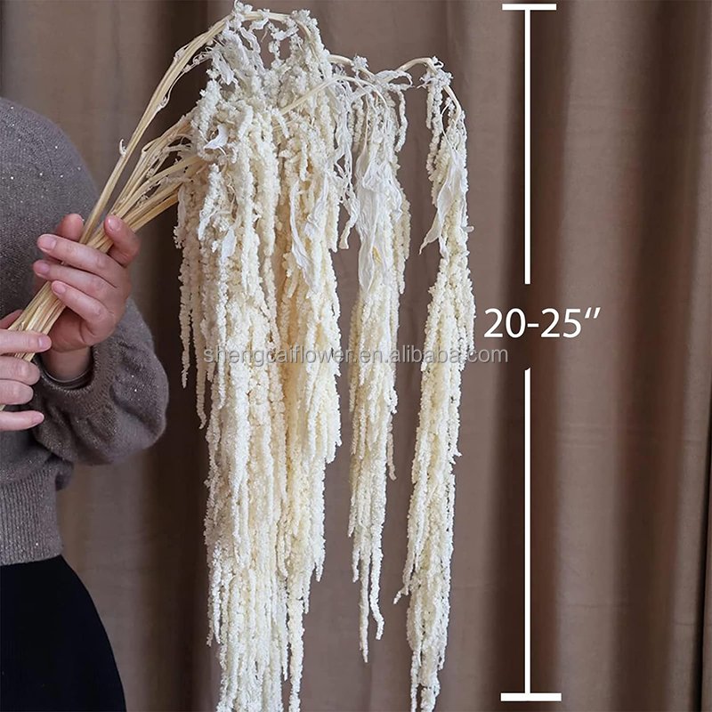White Amaranthus Bundle 30" Long, Real Preserved Foliage Decor for Home or Everyday Arrangements hanging decor indoor