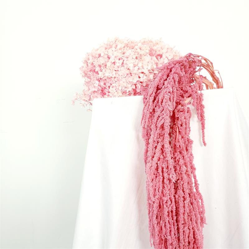 The factory supplies amaranthus preserved flower for Hanging Bouquets Celebration Arrangement Wedding decoration