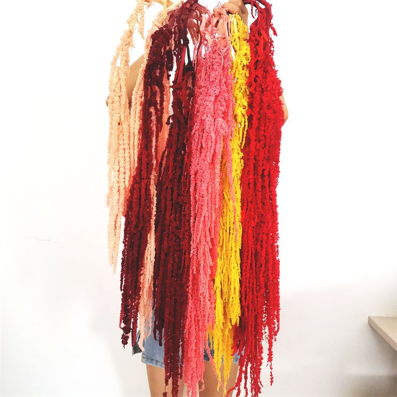 The factory supplies amaranthus preserved flower for Hanging Bouquets Celebration Arrangement Wedding decoration