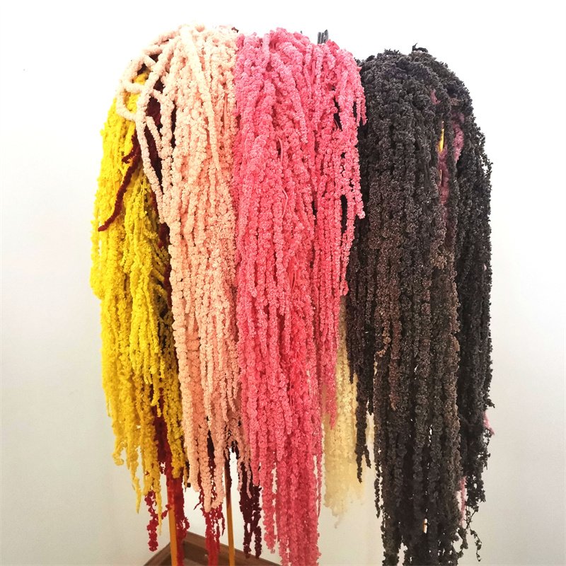 The factory supplies amaranthus preserved flower for Hanging Bouquets Celebration Arrangement Wedding decoration