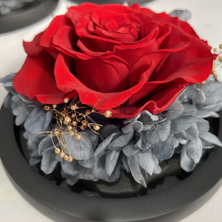 Luxury preserved rose gift fresh flowers with heart shaped glass dome ribbon sets handcrafted glass rose keepsake for sale