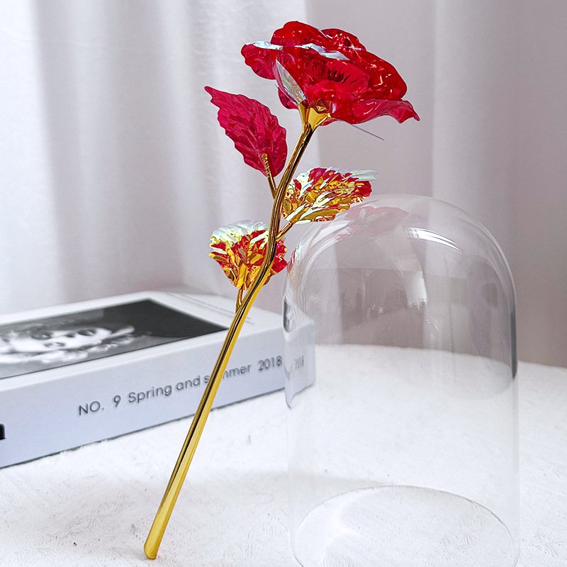 Glass Dome LED Lights Mother's Day & Christmas Gift Plastic Preserved Flowers Plants Women Eternal Galaxy Rose Forever Rose