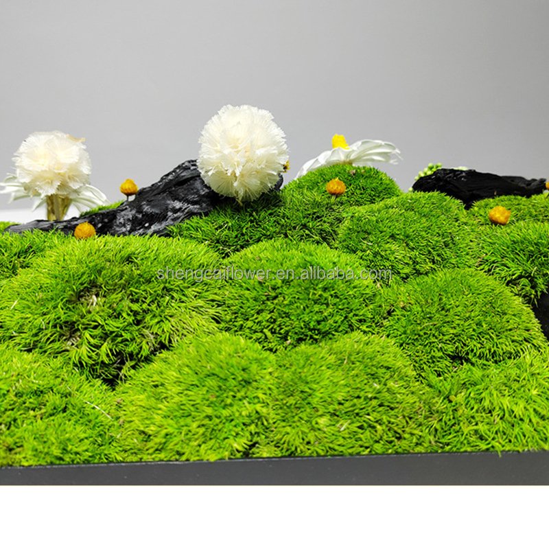 Wholesale Friendly Natural Artificial Moss Stabilized Preserved Pole Moss For Home Decoration