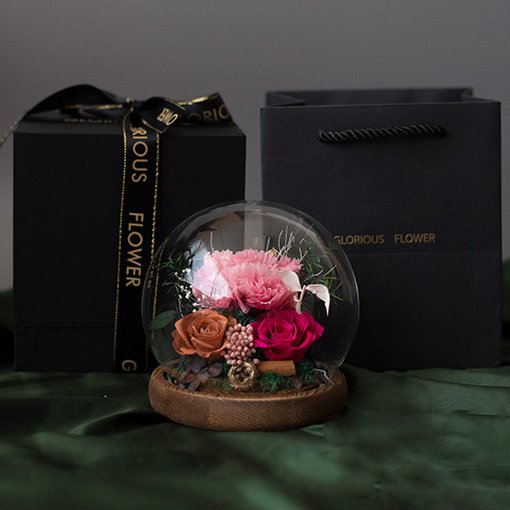 Hot Valentines Day Gifts Eternal Real Rose Everlasting Bella New Product Ideas 2025 Forever Roses Preserved Flower In Glass Dome