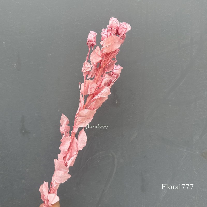 Natural preserved Rose with Long Stem Eternal Rose Preserved Flower Preserved Roses With Stem For Wedding Decoration