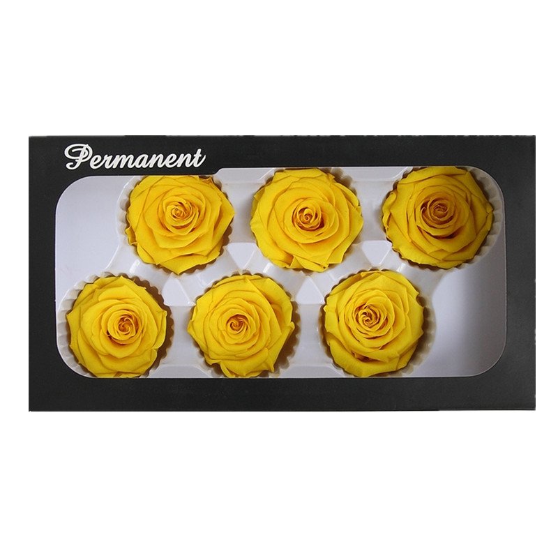 Real Preserved Rose head 5-6cm Long lasting Roses Preserved FLowers