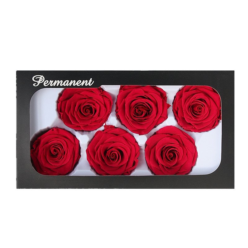 Real Preserved Rose head 5-6cm Long lasting Roses Preserved FLowers