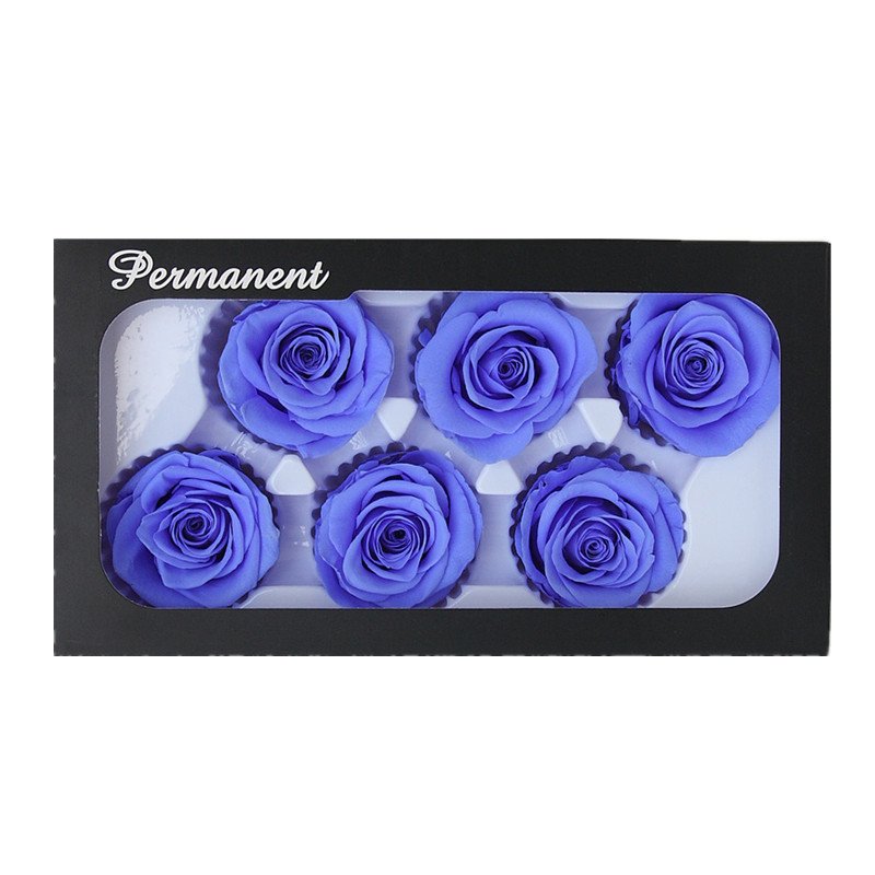 Real Preserved Rose head 5-6cm Long lasting Roses Preserved FLowers