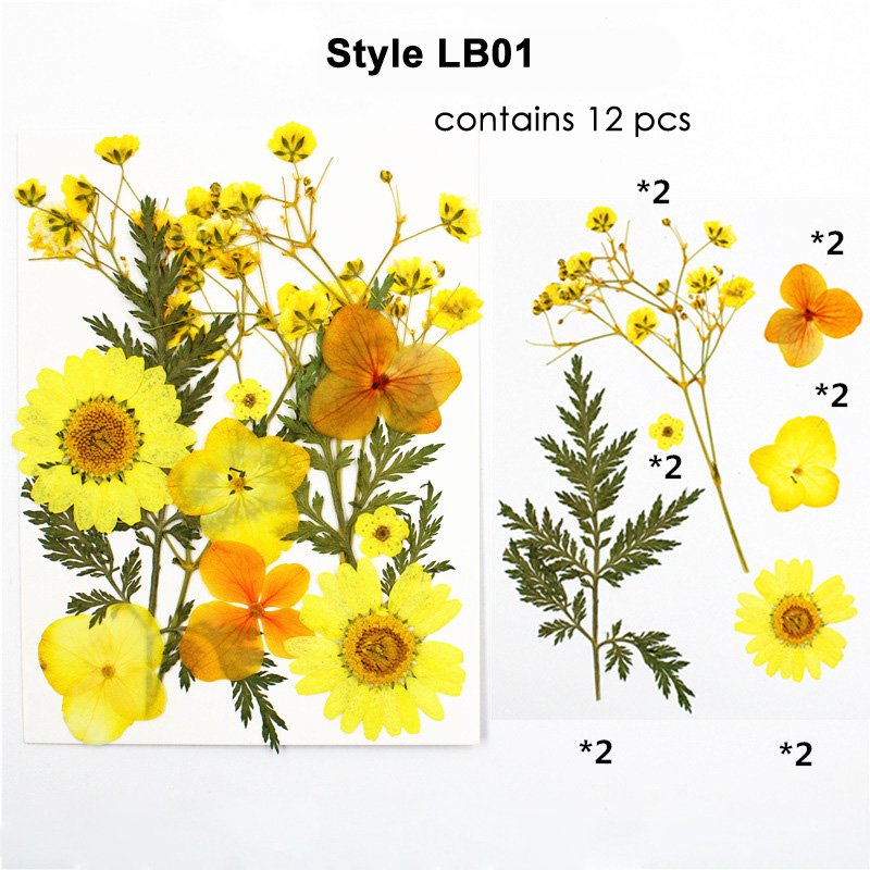 Preserved Dry Natural Dried Pressed Flower For Resin Decoration Pressed Flowers Set For Petals Frame