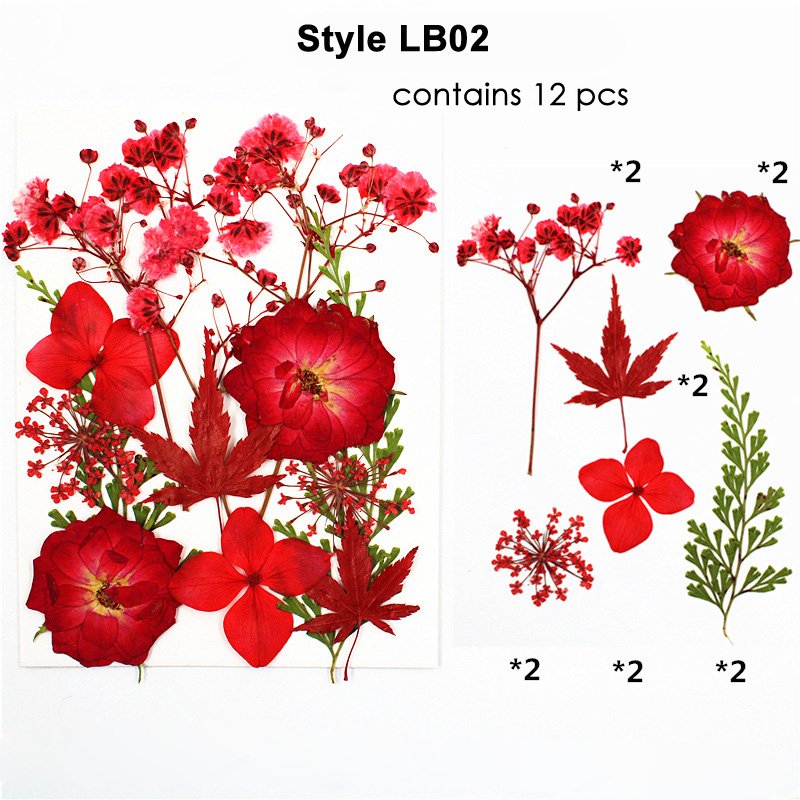 Preserved Dry Natural Dried Pressed Flower For Resin Decoration Pressed Flowers Set For Petals Frame