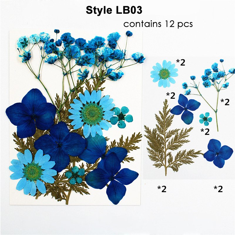 Preserved Dry Natural Dried Pressed Flower For Resin Decoration Pressed Flowers Set For Petals Frame