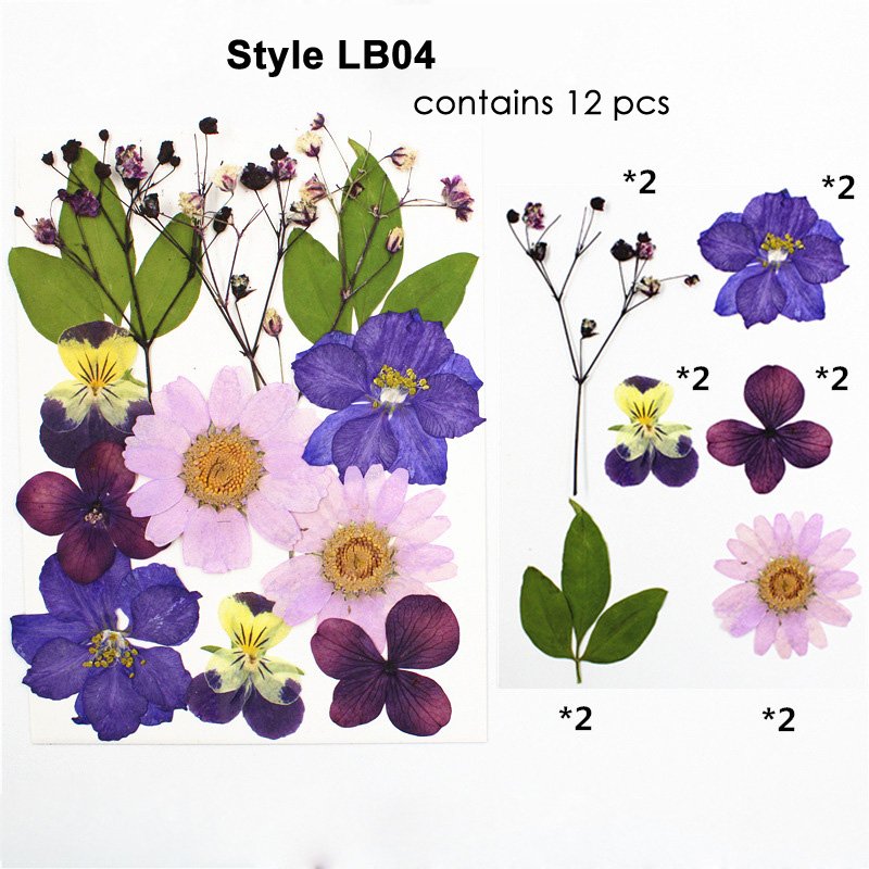 Preserved Dry Natural Dried Pressed Flower For Resin Decoration Pressed Flowers Set For Petals Frame