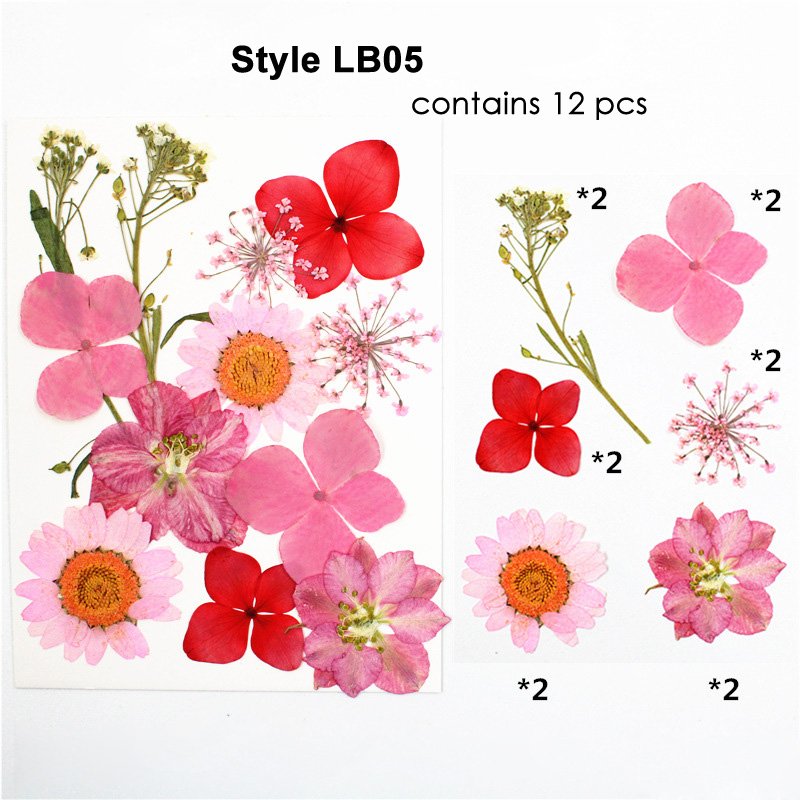 Preserved Dry Natural Dried Pressed Flower For Resin Decoration Pressed Flowers Set For Petals Frame
