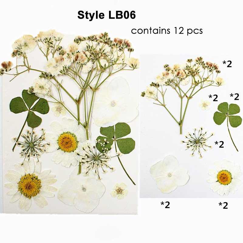 Preserved Dry Natural Dried Pressed Flower For Resin Decoration Pressed Flowers Set For Petals Frame