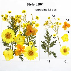 LB01