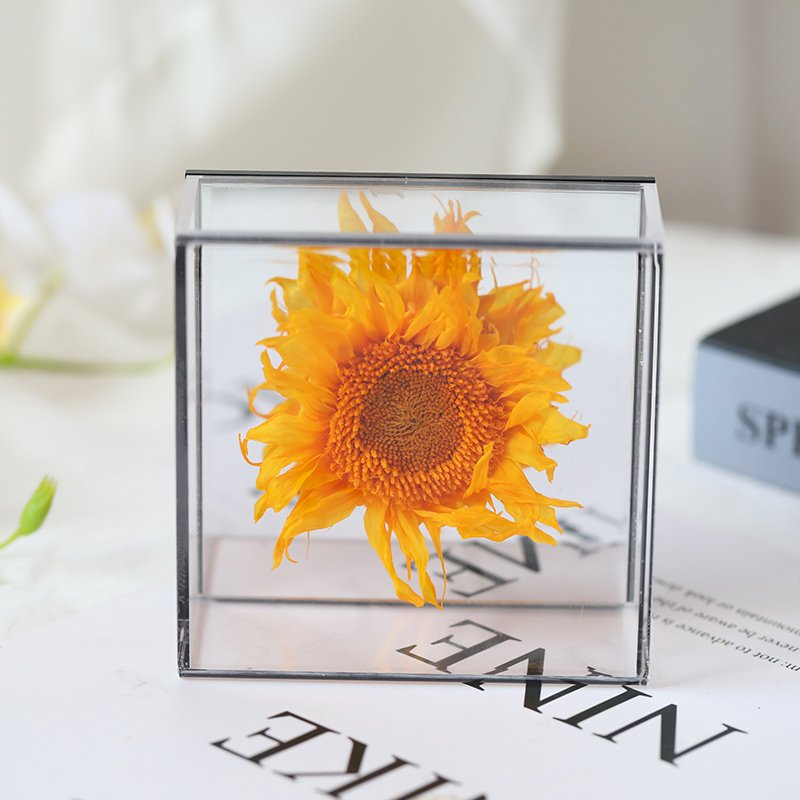 Acrylic Boxes Eternity Fleur Eternal Sunflower Preserved Roses Valentine Day Christmas Gift Forever Flower Chinese New Year Box