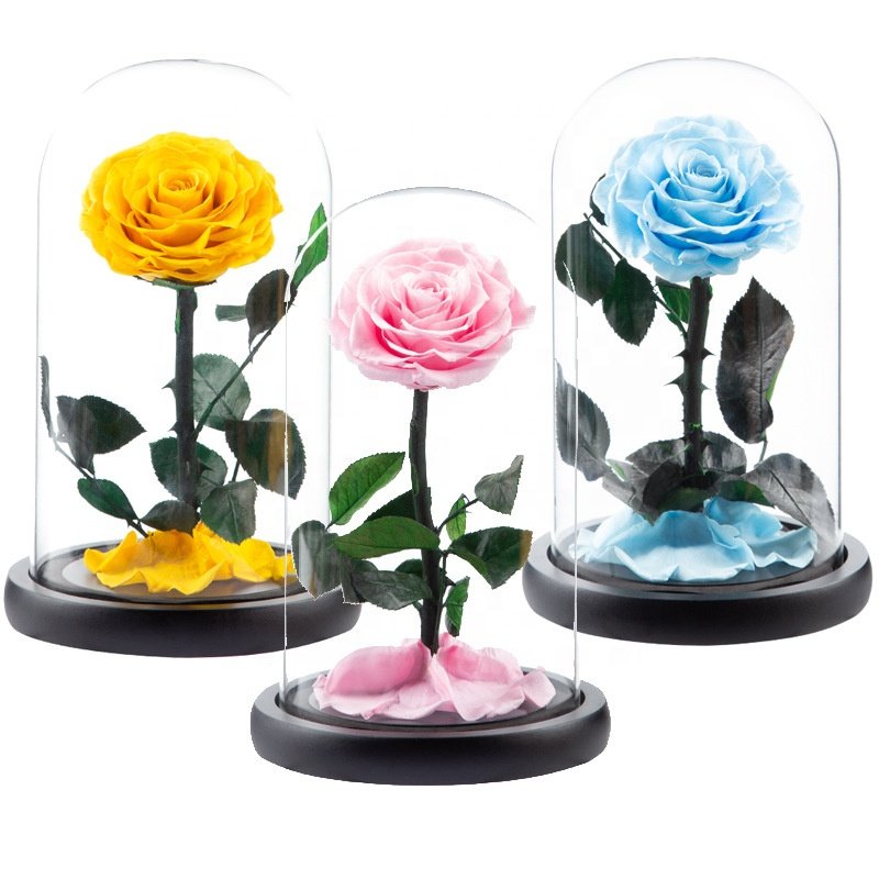 TC Wholesale Custom Logo Red Eternal Forever Rose Flower Gift Packaging Heart Box Valentines Gifts Preserved Roses In Glass Dome