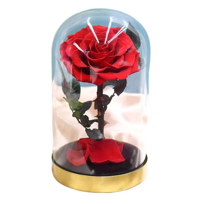 Factory Directly Supply Preserved Flower Packaging Box Preserved Flower Souvenir Gift Preserved Rose With Glass Dome for Gifts