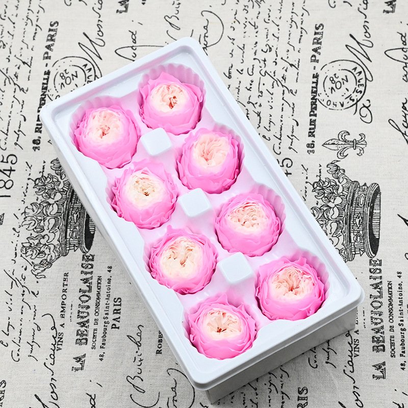 Grade-A 4-5cm 8 pcs/box Eternal Forever Preserved Roses Head Austin Preserved Flowers for Decoration