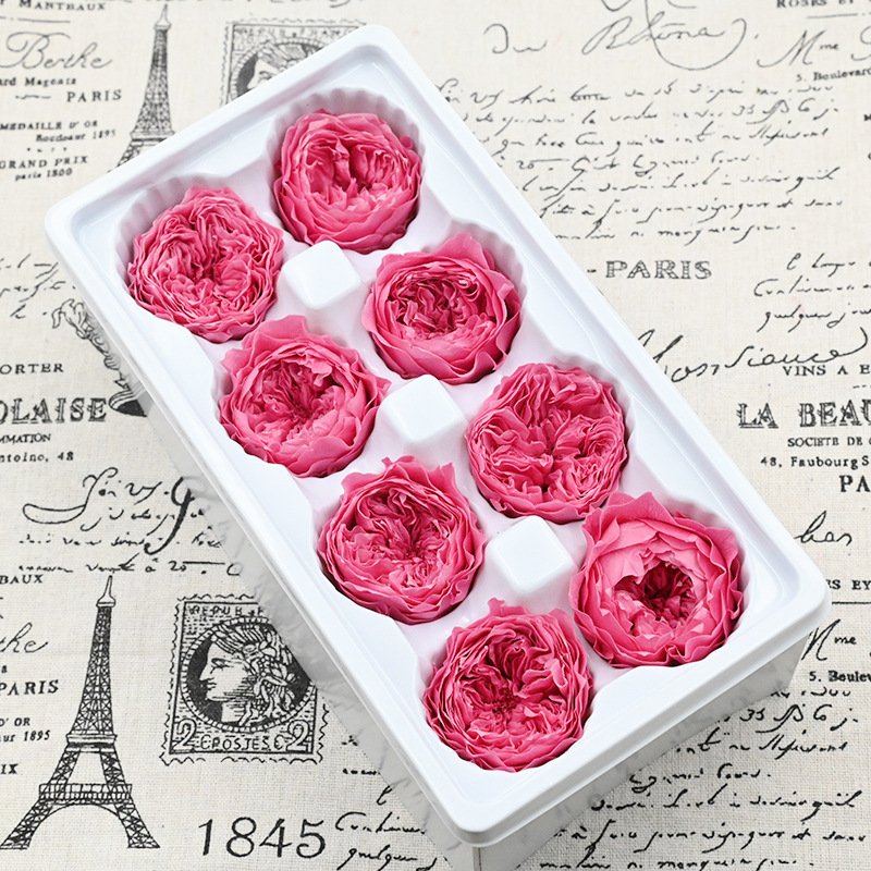 Grade-A 4-5cm 8 pcs/box Eternal Forever Preserved Roses Head Austin Preserved Flowers for Decoration
