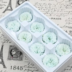 C18