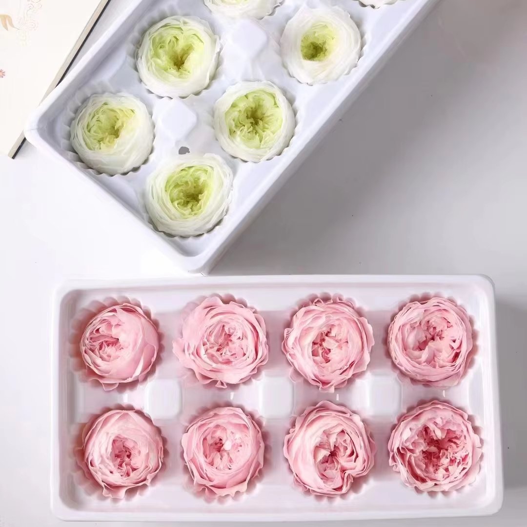 P-7 Real Preserved flower Austin Rose for Bouquet DecorationPreserved Rose Heads
